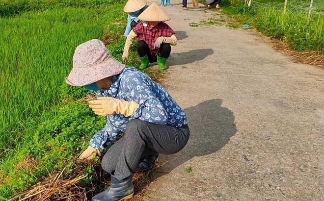 Hội viên phụ nữ xã Thanh Lương tham gia giữ gìn vệ sinh môi trường.