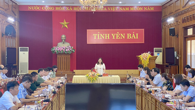 Đồng chí Vũ Thị Hiền Hạnh - Phó Chủ tịch UBND tỉnh phát biểu kết luận cuộc họp.