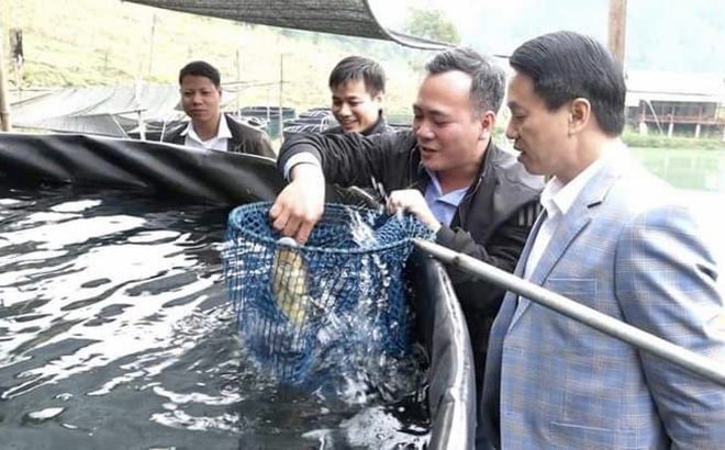 Lãnh đạo huyện Văn Yên thăm mô hình nuôi cá tầm thương phẩm tại xã Nà Hẩu.