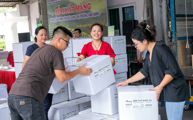 Sản phẩm chè Shan tuyết của Hợp tác xã  Suối Giàng huyện Văn Chấn là 1 trong 10 sản phẩm chủ lực của tỉnh được xuất khẩu sang thị trường Anh thông qua các hoạt động xúc tiến thương mại và hội nhập kinh tế quốc tế