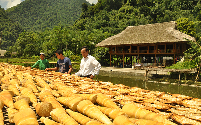 Sản phẩm măng mai tươi xã Lâm Thượng.