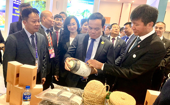 Chủ tịch UBND tỉnh Trần Huy Tuấn giới thiệu với Phó Thủ tướng Trần Lưu Quang các sản phẩm của Yên Bái trưng bày tại Hội chợ.