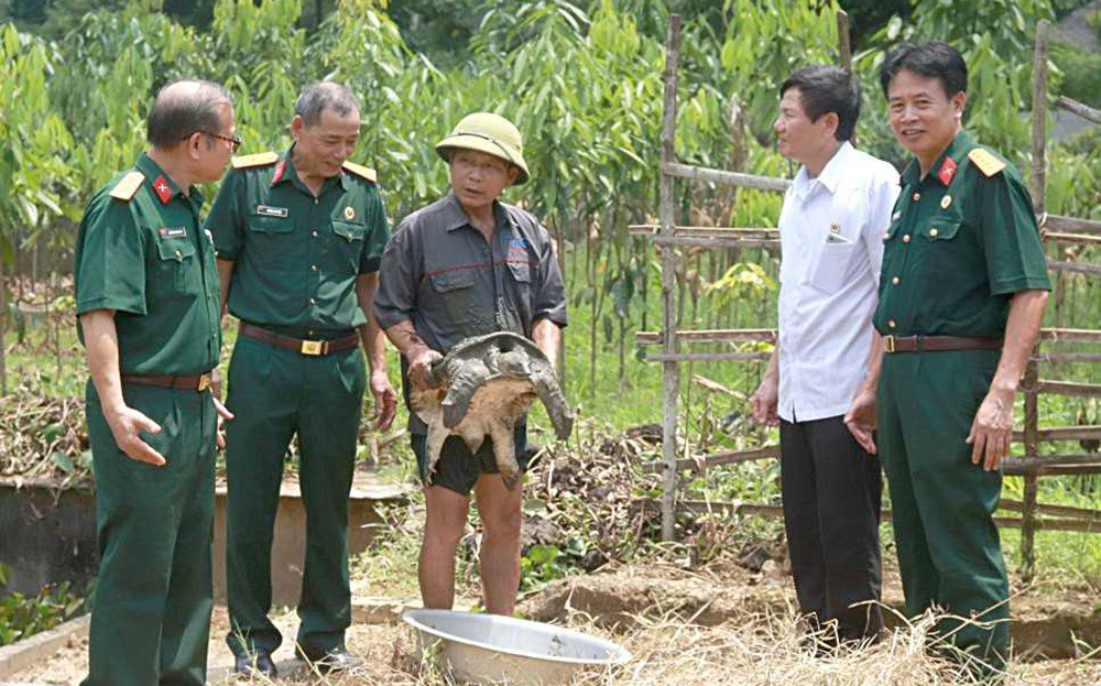 Đoàn kiểm tra của Ban Kinh tế Trung ương, Hội CCB Việt Nam kiểm tra hiệu quả nguồn vốn tín dụng chính sách giải quyết việc làm tại gia đình hội viên CCB Hoàng Văn Sồn ở thôn Nà Tạng, xã Minh Xuân, huyện Lục Yên.