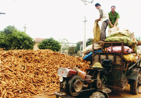 Nhà máy sắn Văn Yên.
(Ảnh: A.D)