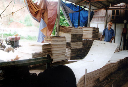 Xưởng chế biến gỗ của gia đình ông bà Liên - Phong giải quyết việc làm cho 5 lao động thường xuyên.