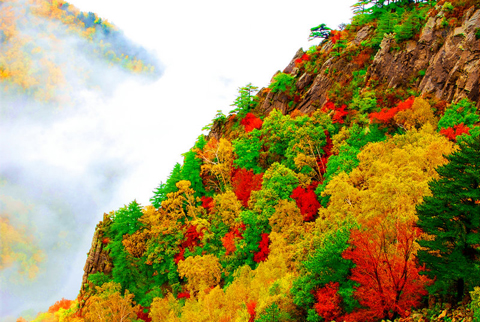 Núi Wuling (Vụ Linh Sơn) là một trong những vườn quốc gia được bảo hộ của Trung Quốc.