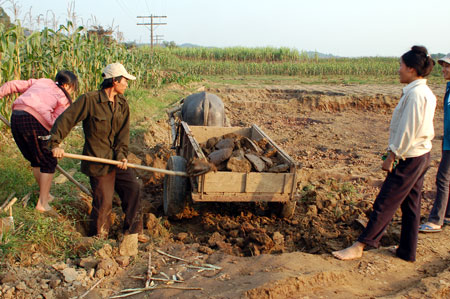 450 triệu đồng hỗ trợ chuyển đổi diện tích đất nông nghiệp sử dụng kém hiệu quả. Ảnh minh họa