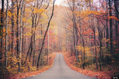 Công viên quốc gia Great Smoky Mountains, bang Tennessee, Mỹ
