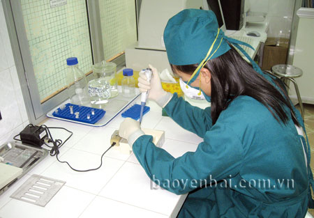 Cán bộ xét nghiệm xử lý mẫu bệnh phẩm tại Phòng Xét nghiệm sinh học phân tử của Trung tâm Y tế dự phòng.