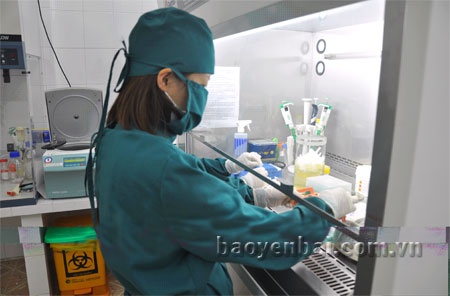 Cán bộ xét nghiệm xử lý mẫu bệnh phẩm tại phòng xét nghiệm PCR.