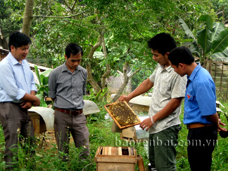 Đỗ Văn Thiệp (thứ 2, phải sang) giới thiệu về nghề nuôi ong với cán bộ Huyện Đoàn và đoàn viên trong thị trấn.