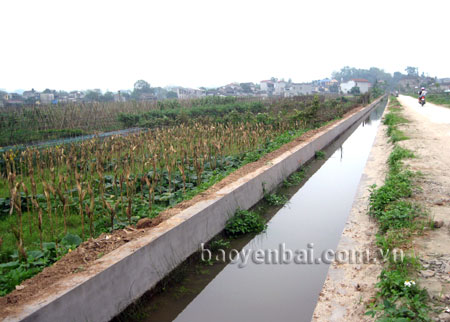 Nhờ sự đóng góp của các hộ gia đình nông dân, những tuyến kênh mương nội đồng trên địa bàn xã Đại Phác đã được kiên cố hóa.
