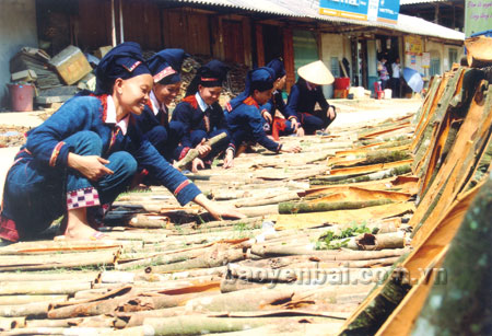 Cùng với sự đầu tư của Nhà nước, nhân dân các dân tộc trong tỉnh hăng hái thi đua lao động sản xuất, xóa đói giảm nghèo. (Ảnh: Đồng bào Dao Văn Chấn phơi vỏ quế).