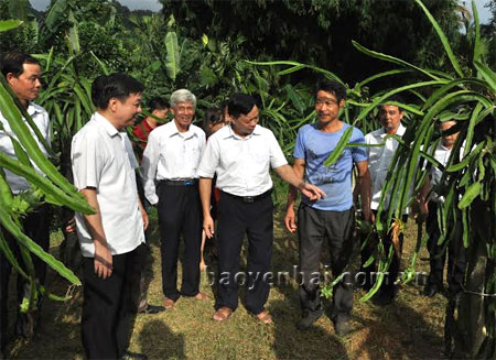 Đoàn đại biểu điển hình tiên tiến trong đồng bào Công giáo tỉnh thăm mô hình trồng thanh long của gia đình ông Nguyễn Văn Mạnh.
