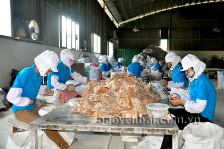 Công nhân Công ty cổ phần Yên Thành (Yên Bình) sơ chế sản phẩm măng khô trước khi đóng gói.
