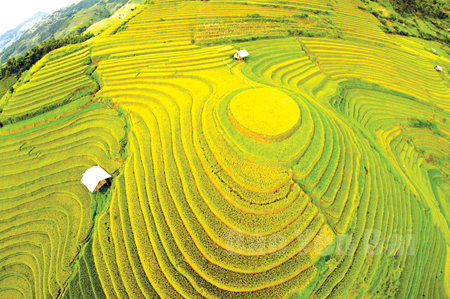 Kỳ tác ruộng bậc thang Mù Cang Chải.
(Ảnh: Thanh Miền)