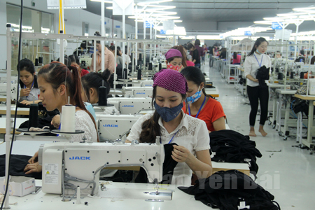 Công nhân làm việc tại Nhà máy May xuất khẩu ở thị trấn Cổ Phúc (Trấn Yên) do Công ty TNHH Quốc tế Vina KNF Hàn Quốc đầu tư.
