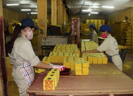 Sản xuất giấy vàng mã xuất khẩu tại Công ty cổ phần Lâm nông sản thực phẩm Yên Bái.

