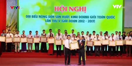 Phó Thủ tướng thường trực Trương Hòa Bình tặng bằng khen cho các nông dân sản xuất kinh doanh giỏi.
