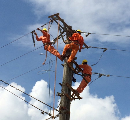 Công nhân Điện lực Văn Yên bảo dưỡng đường dây sau bão lũ. 


