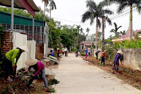 Nhân dân xã Văn Phú, thành phố Yên Bái trồng hoa trên tuyến đường liên thôn.