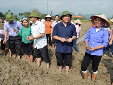 Đồng chí Nông Văn Lịnh  - Chủ tịch Ủy ban Mặt trận Tổ quốc tỉnh cùng Giám đốc Sở Nông nghiệp và Phát triển nông thôn xuống đồng trồng ngô cùng người dân.