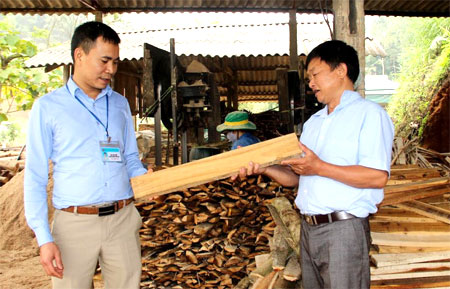 Mô hình trồng và chế biến gỗ rừng trồng của anh Nguyễn Đức Toàn, thôn Trực Bình 1, xã Minh Bảo, thành phố Yên Bái mỗi năm thu hơn 1 tỷ đồng.