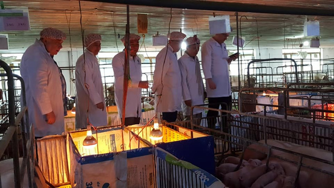 Đoàn công tác của Viện Chăn nuôi lợn, Cộng hòa Ukraina thăm trang trại lợn của Công ty TNHH Đầm Mỏ tháng 3/2018.
