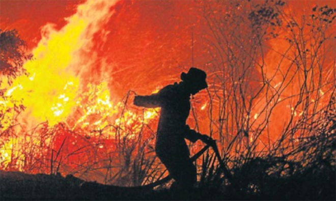 Lính cứu hỏa đang cố găng dập đám cháy ở tỉnh Nam Nam Sumatra, Indonesia ngày 13/9.