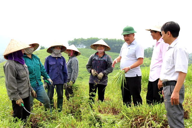 Lãnh đạo xã Đông Cuông động viên nông dân trong xã tham gia mô hình liên kết với doanh nghiệp trồng sả để nâng cao thu nhập, cải thiện đời sống.