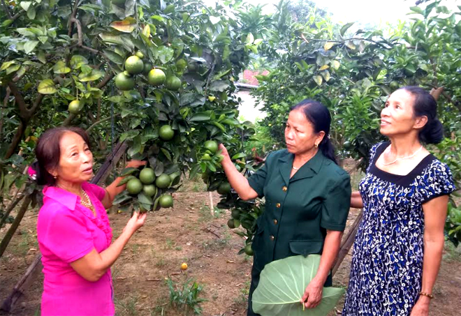 Bà Nguyễn Thị Năng (đứng giữa) cùng lãnh đạo Chi bộ thôn Thâm Pồng thăm mô hình phát triển kinh tế của hội viên nông dân.