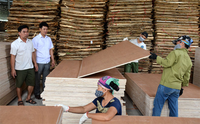 Lãnh đạo xã Lâm Giang thăm các cơ sở đầu tư chế biến gỗ rừng trồng trên địa bàn.