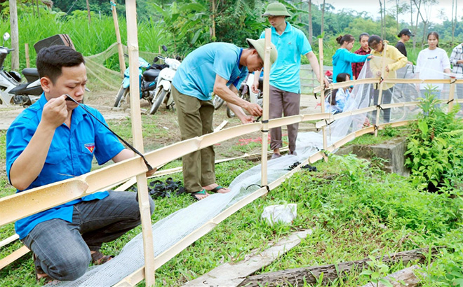 Tuổi trẻ Lục Yên cùng với người dân làm rào chắn quanh ao tại khu vực tập trung đông trẻ em.