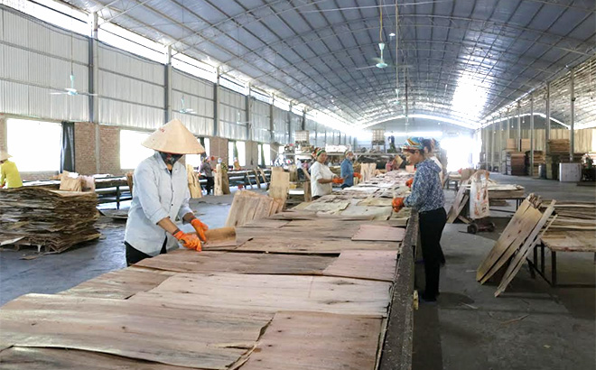 Sản xuất gỗ ván ép ở Văn Yên.