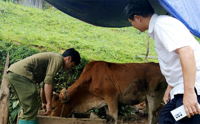 Lãnh đạo Sở Nông nghiệp và Phát triển nông thôn kiểm tra công tác phòng, chống dịch bệnh trên đàn vật nuôi tại xã Púng Luông.