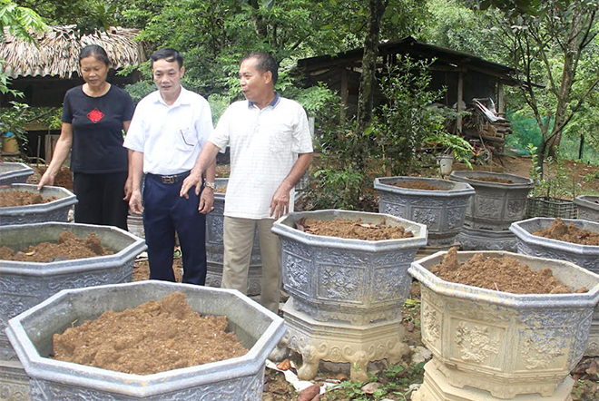 Ông Nguyễn Văn Thành (ngoài cùng bên phải) giới thiệu với lãnh đạo Hội Người cao tuổi thị trấn Yên Bình công việc đổ chậu hoa trồng cây cảnh của gia đình.