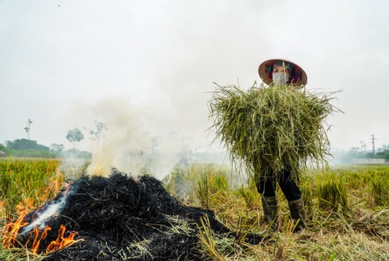 Nhiều nơi đang lãng phí rất nhiều phụ phẩm trong nông nghiệp