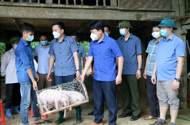 Bí thư Huyện ủy Yên Bình An Hoàng Linh trao hỗ trợ lợn giống cho hộ gia đình anh Hoàng Văn Hợi, thôn Ngòi Sọng, xã Xuân Long.