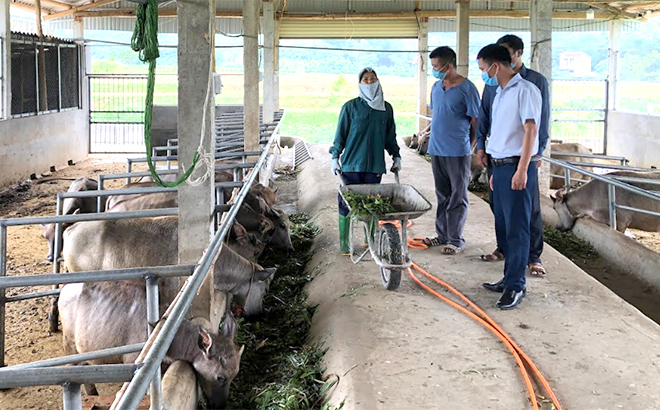 Nhiều hộ nông dân trên địa bàn huyện Văn Yên vay vốn từ Agribank Chi nhánh huyện Văn Yên để phát triển kinh tế gia đình.