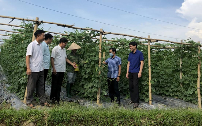 Lãnh đạo Ban Dân vận Thị ủy Nghĩa Lộ thăm mô hình trồng mướp đắng lấy hạt ở thôn Nặm Tọ, xã Thạch Lương cho thu nhập khá.