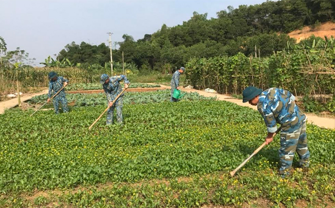 Cán bộ, chiến sĩ Trung đoàn 921 thực hiện tốt công tác hậu cần quân đội.