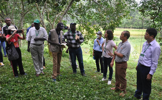 Đoàn đại biểu thăm mô hình trang trại ông Nguyễn Huy Khôi, xã Phú Thịnh, huyện Yên Bình.