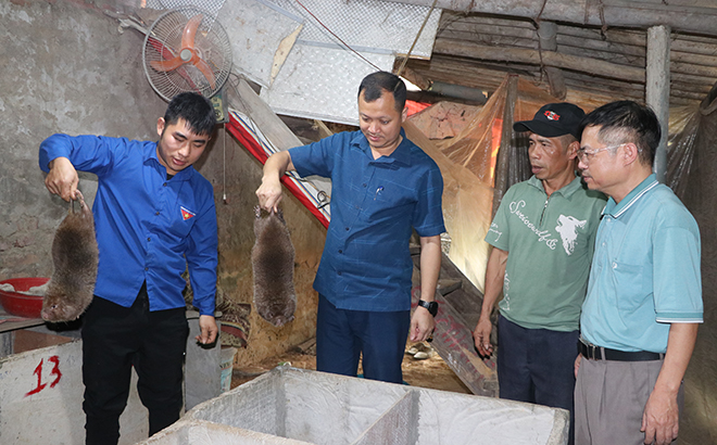 Lãnh đạo xã Hưng Thịnh thăm mô hình nuôi dúi của anh Đinh Xuân Linh, thôn Yên Thành.