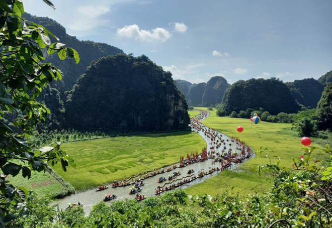 Mùa vàng Tam Cốc - Ảnh: Sở Du lịch Ninh Bình