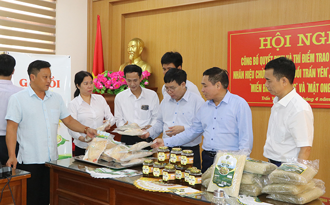 Các đại biểu tham quan trưng bày sản phẩm nông sản của huyện Trấn Yên.