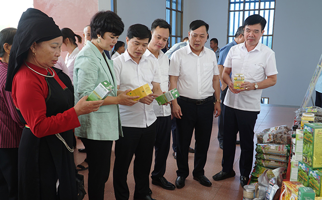 Lãnh đạo Trung tâm Thông tin du lịch, Cục Du lịch Quốc gia Việt Nam và lãnh đạo huyện tham quan gian hàng trưng bày sản phẩm du lịch của Yên Bình.