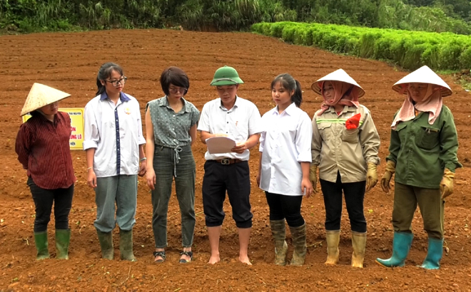 Giảng viên Đỗ Xuân Trường hướng dẫn các hộ dân tham gia dự án kỹ thuật trồng cây hà thủ ô đỏ đảm bảo mật độ và chăm sóc đúng kỹ thuật