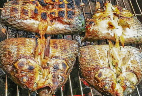 Món cá nướng Pa pỉnh tộp đặc sắc của người Thái Mường Lò, Nghĩa Lộ