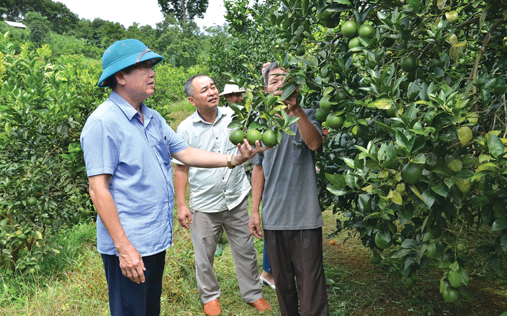 Lãnh đạo xã Đại Lịch trao đổi với người dân thôn Bằng Là 1 về phát triển diện tích cây ăn quả có múi.