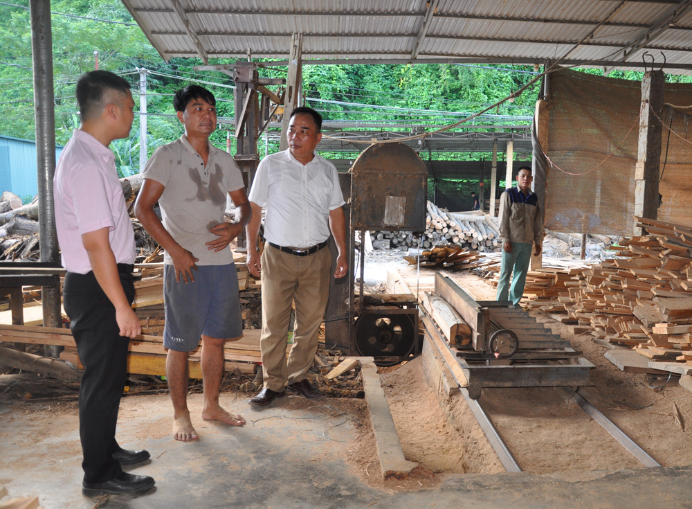 Lãnh đạo xã Minh Tiến và Ngân hàng Chính sách xã hội huyện Lục Yên kiểm tra mô hình sản xuất ván xẻ của gia đình anh Nguyễn Văn Việt ở thôn Tổng Táng.